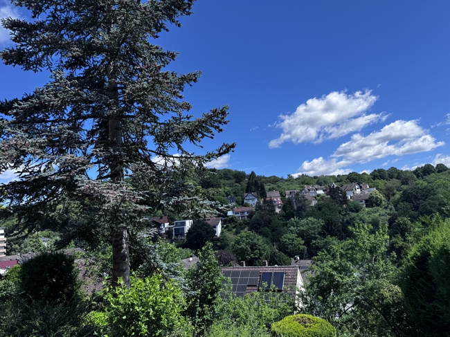  Bad Soden am Taunus / Altenhain Zweifamilienhaus Vielseitiges Mehrgenerationenhaus Einliegerwhg. mit unverbaubarem Blick&DG ausbaubar