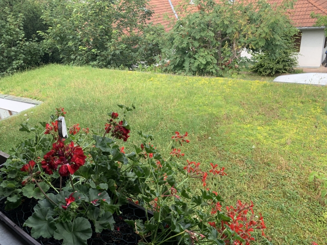 r+oebM5URcumKAo+IiWKxw Einfamilienhaus Gilching/ bei M�nchen